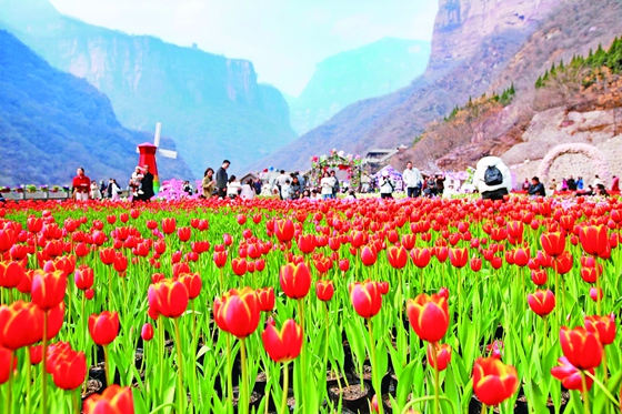 “郁”见春天！ 新乡春山赏花季启幕