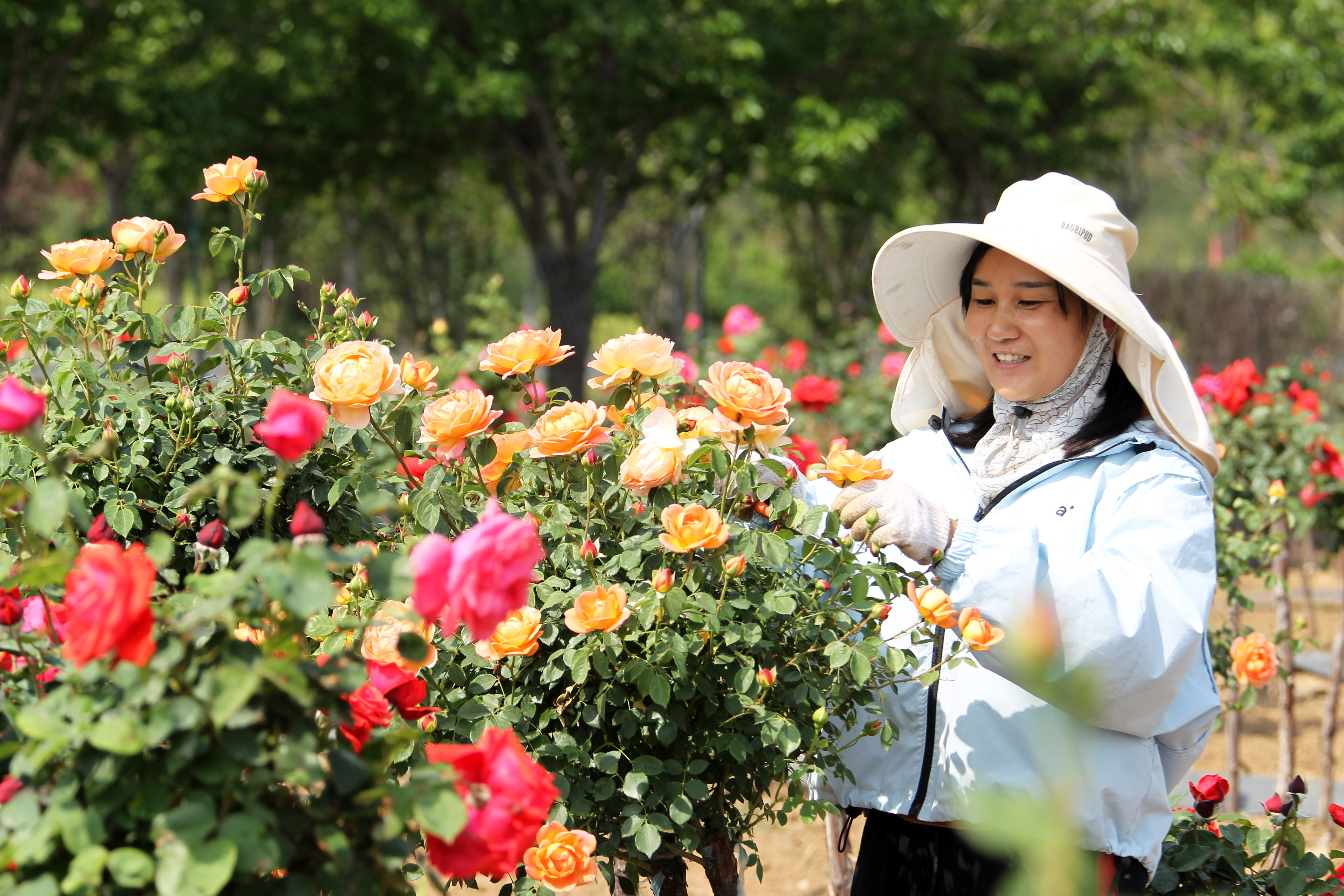  “美丽经济”绽芳华