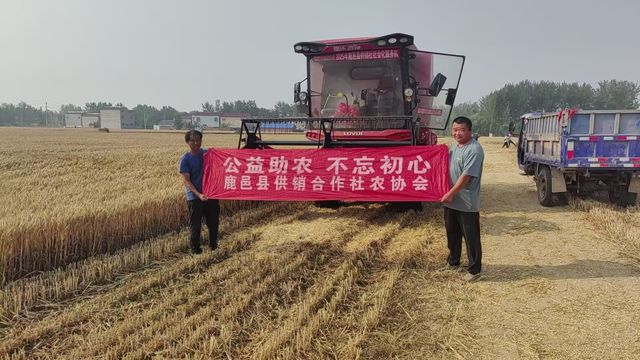 鹿邑县供销合作社充分发挥农业社会化服务优势 全力保障小麦颗粒归仓