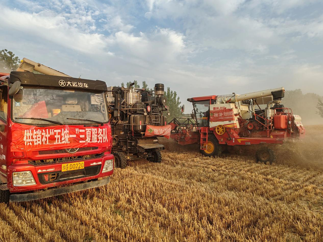 兰考县供销社多举措 护航 “三夏” 生产 筑牢粮食安全防线​