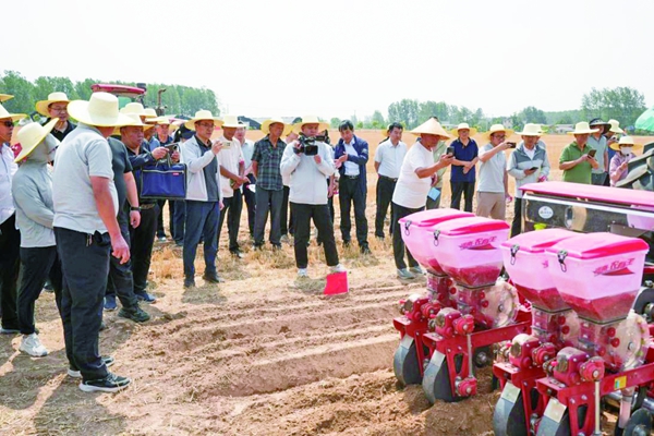 夏花生轻简栽培技术示范成效明显 种花生从“体力活”变成“技术活”