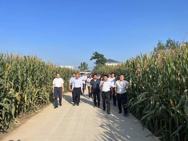 柘城县鑫新粮油购销有限公司组建“大农户产业联盟” 让土地生金 让种粮有奔头