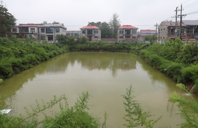 鹿邑任集乡吕楼村的“幸福鼓点”：党建引领 乡贤擂鼓 村民共舞