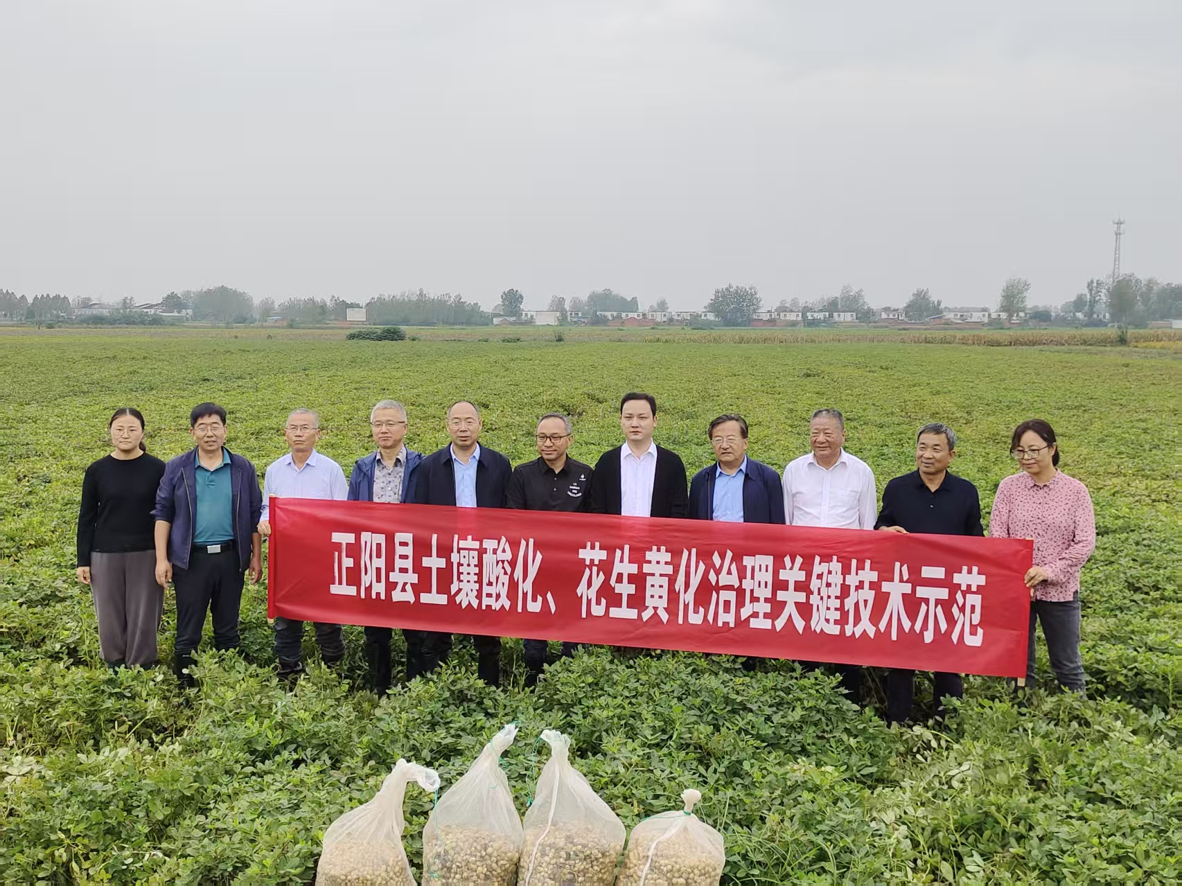 想有好产量　先把地养肥 ——国家花生产业技术体系专家深入正阳县探究花生增产“根本”原因