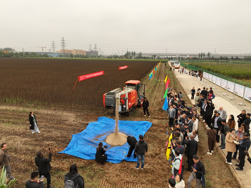 2025国际芝麻产业技术会议在我省召开 新品种新装备为全球芝麻产业现代化提供“中国方案”