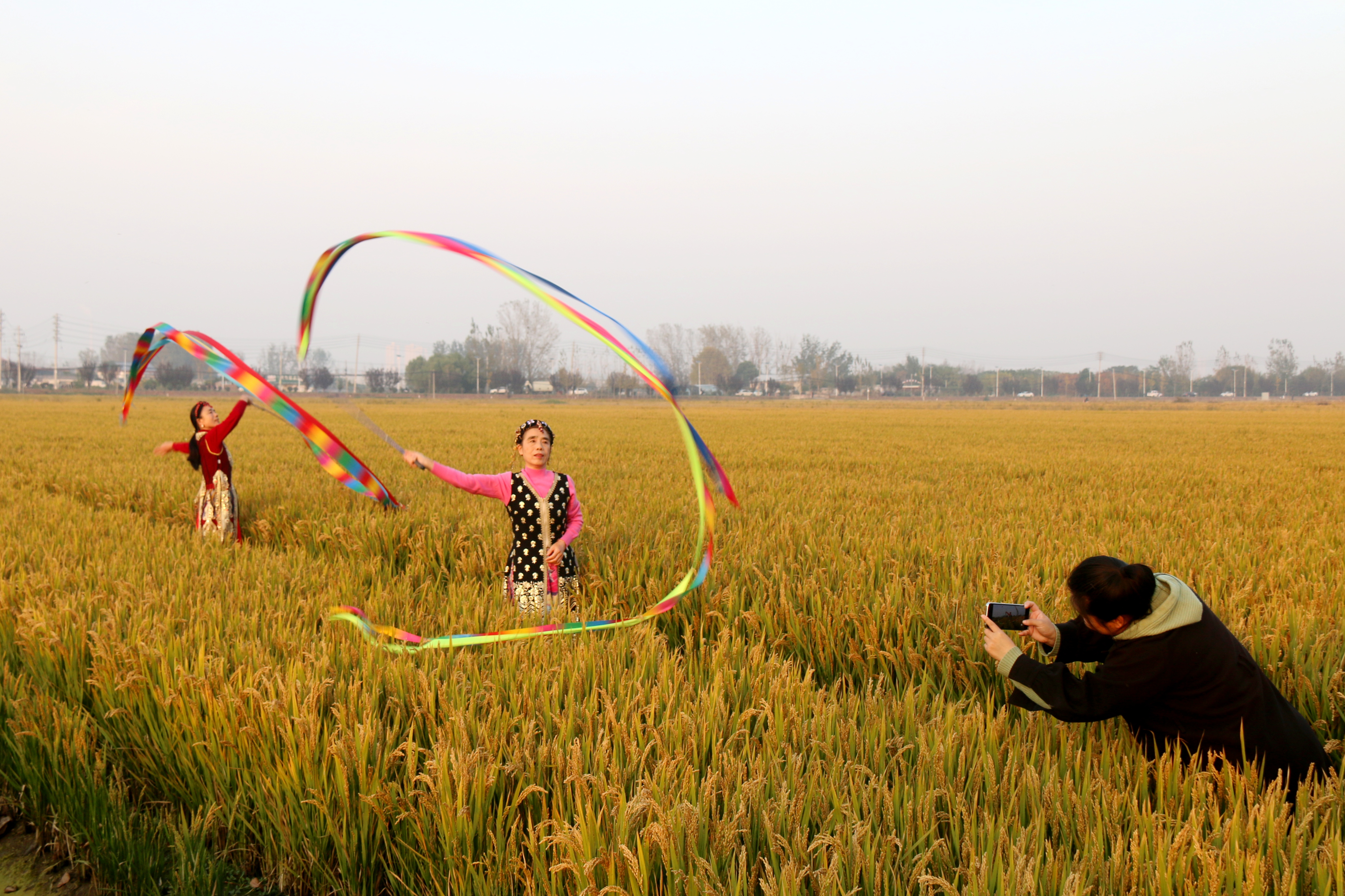 平顶山市湛河区曹镇乡曹东村万亩稻田 吸引游客前来游玩