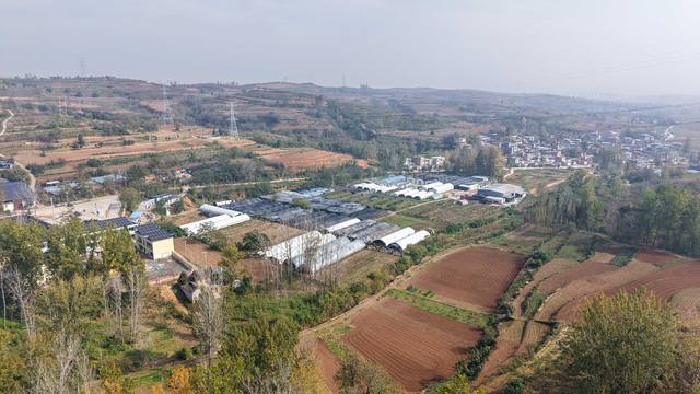 香菇当家 柴胡添金