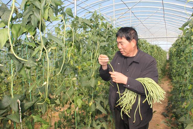 襄城县丁营乡 鼓励各村发展集体经济