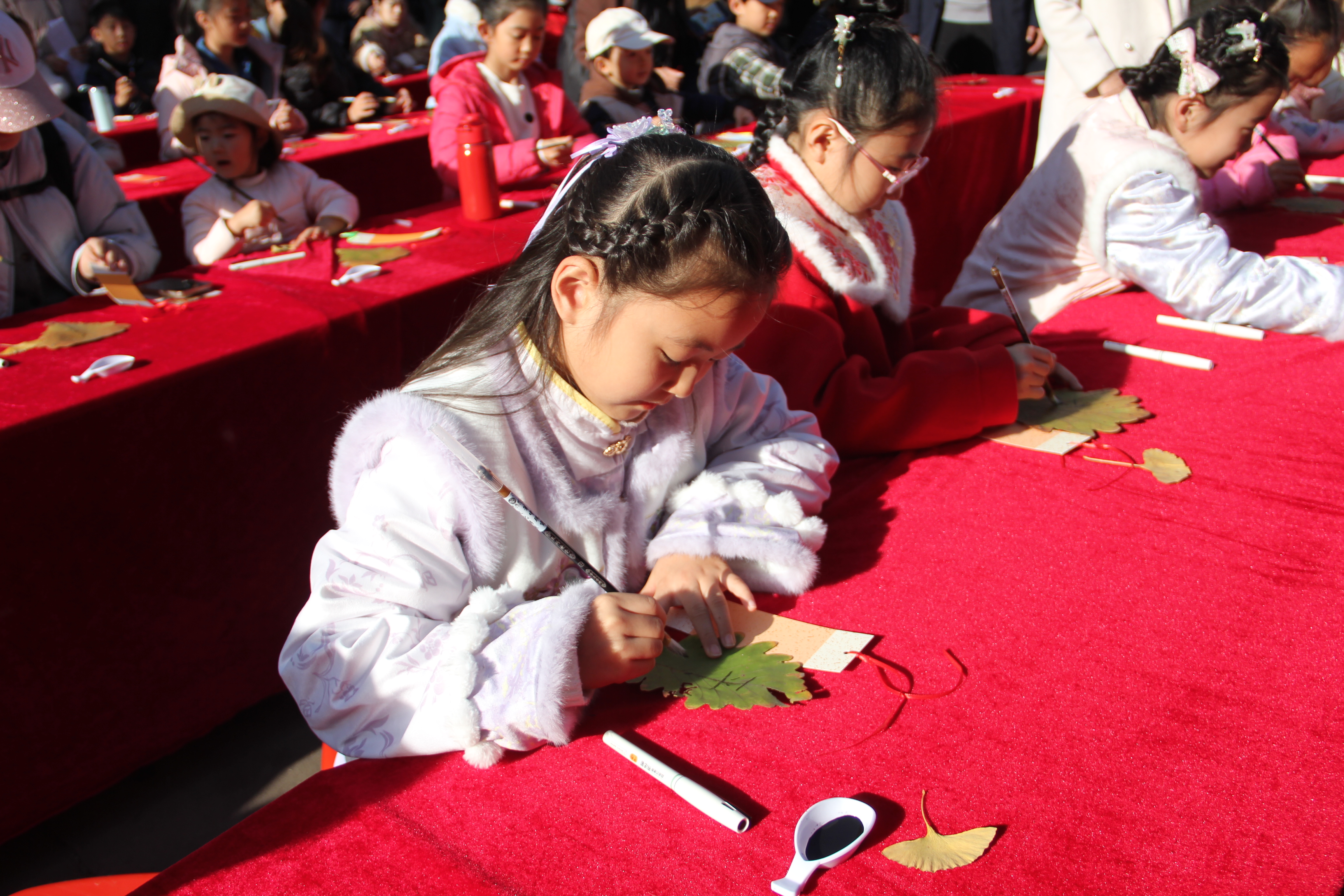 襄城县紫云镇的紫云山迎来槲叶最佳观赏期