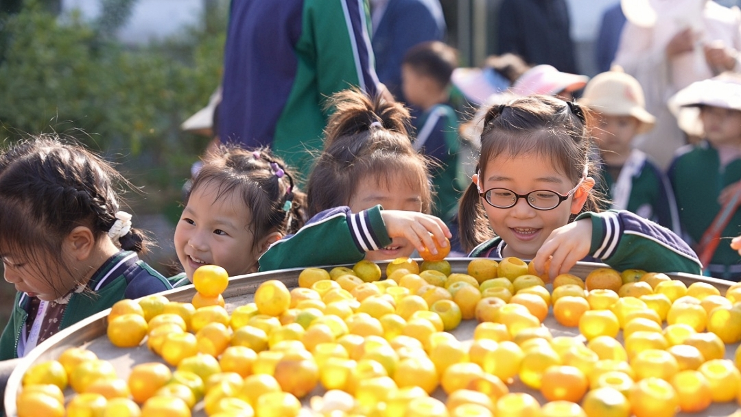 固始县：菊黄橘香绘就丰收图