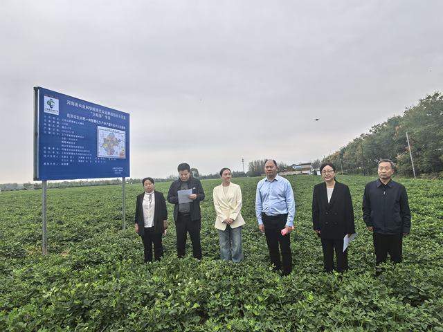 “智慧栽培”助力正阳花生单产提升