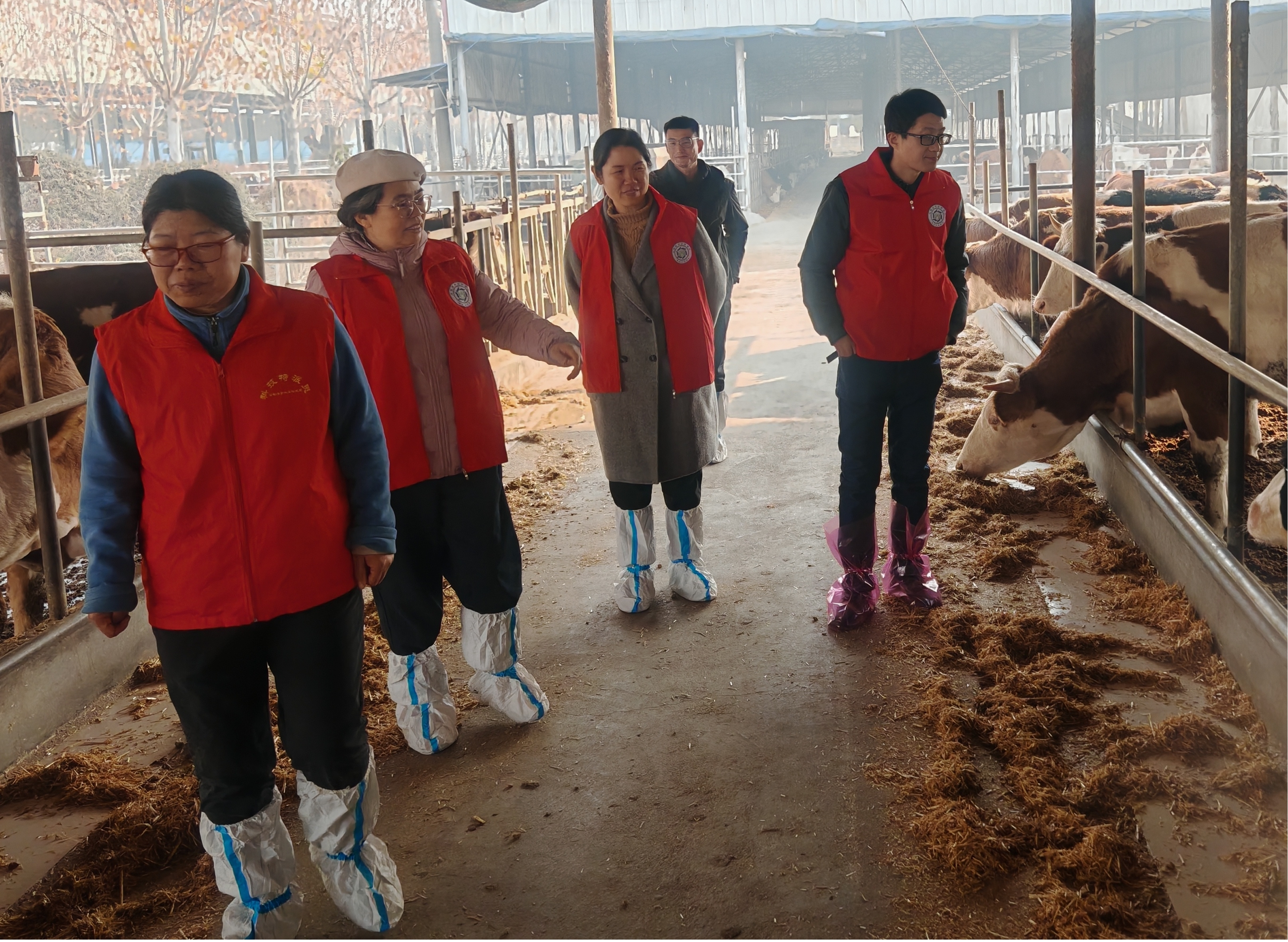 精准指导 护航养殖场平稳越冬
