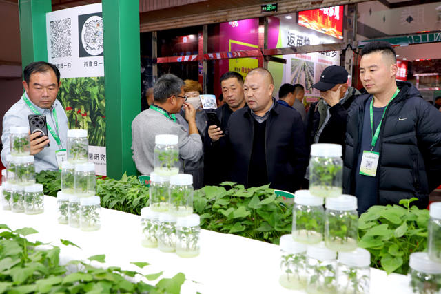 2025第七届中国甘薯产业博览会在郑州中原国