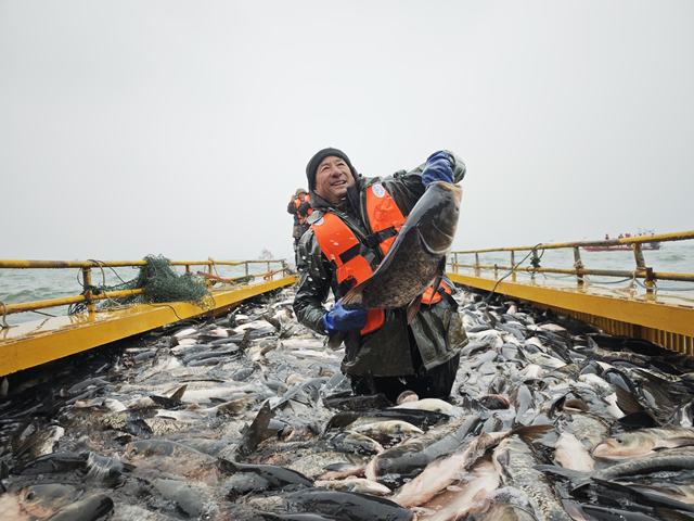 人欢鱼跃冬捕忙