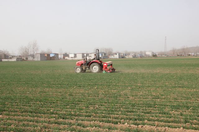 小麦春管保丰收