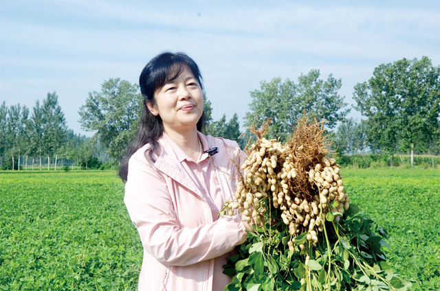 向下扎根花生田 向上开花科研梦 ——记国家高层次人才、河南农业大学教授殷冬梅