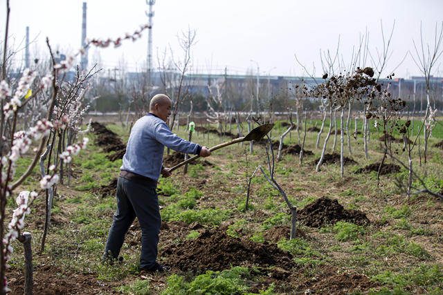 安阳市龙安区马投涧镇 村民抢抓农时积极投入田间生产
