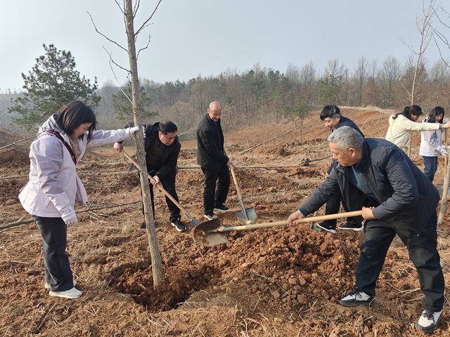 信阳市浉河区 赴一场“绿色约会” 植一片盎然绿意
