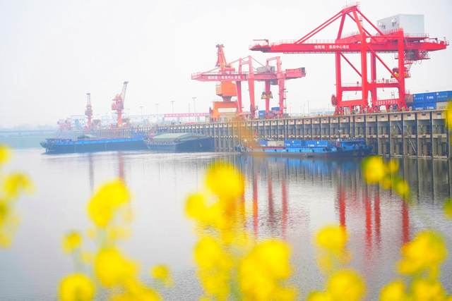 淮河岸畔的信阳港·淮滨中心港区集装箱码头一派繁忙景象