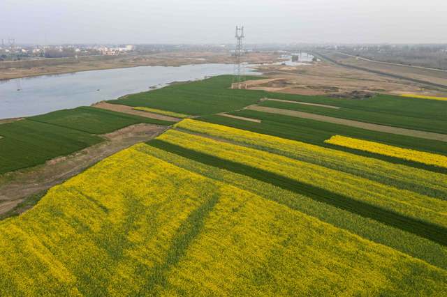 固始县秀水街道 春日田园画卷徐徐展开