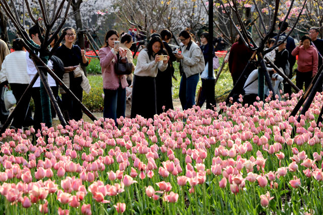 馥郁芬芳 香满园