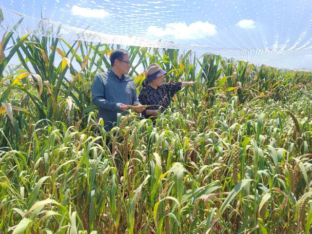 科技强农主力军是怎样练成的？ ——访南阳市科学院院长王辉