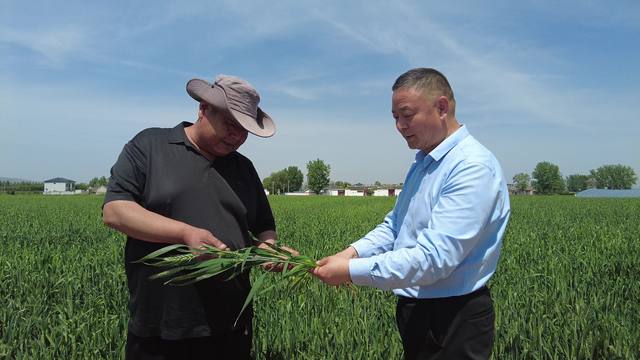 平顶山惠农农业发展有限公司 深耕“三农”沃土 打造农资服务“郏县模式”