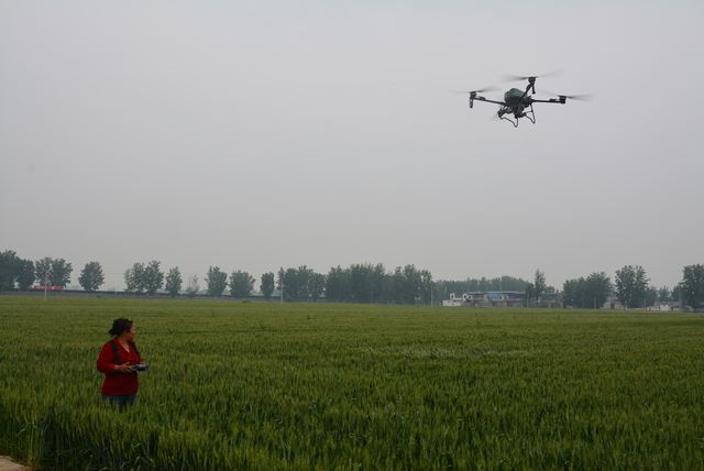 襄城县首锋植保专业合作社  利用植保无人机开展“一喷三防”作业