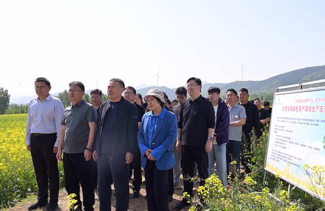 一朵油菜花的多种打开方式