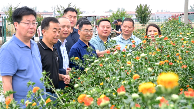 花儿为什么这样“红” ——良种良技配套赋能红花产业高质量发展