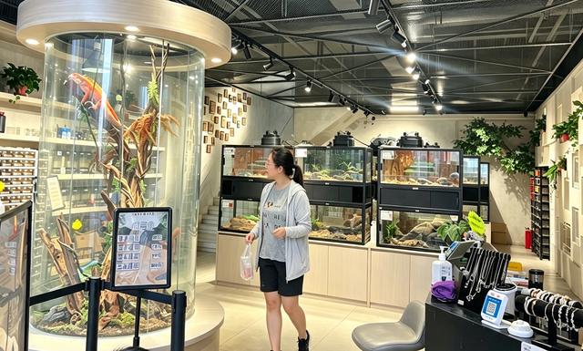 郑州“它经济”升温 爬宠体验馆主打“沉浸