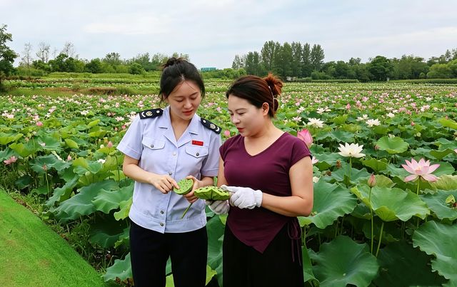 信阳市羊山新区税务局青年攻坚团队走进彭家湾乡张岗村 针对当地太空莲特色种植项目进行一对一辅导