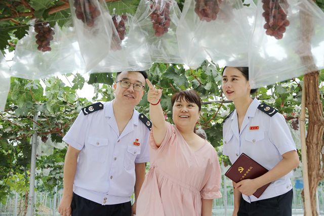 温县税务局组织业务骨干走进家庭农场种植基地普及税法知识
