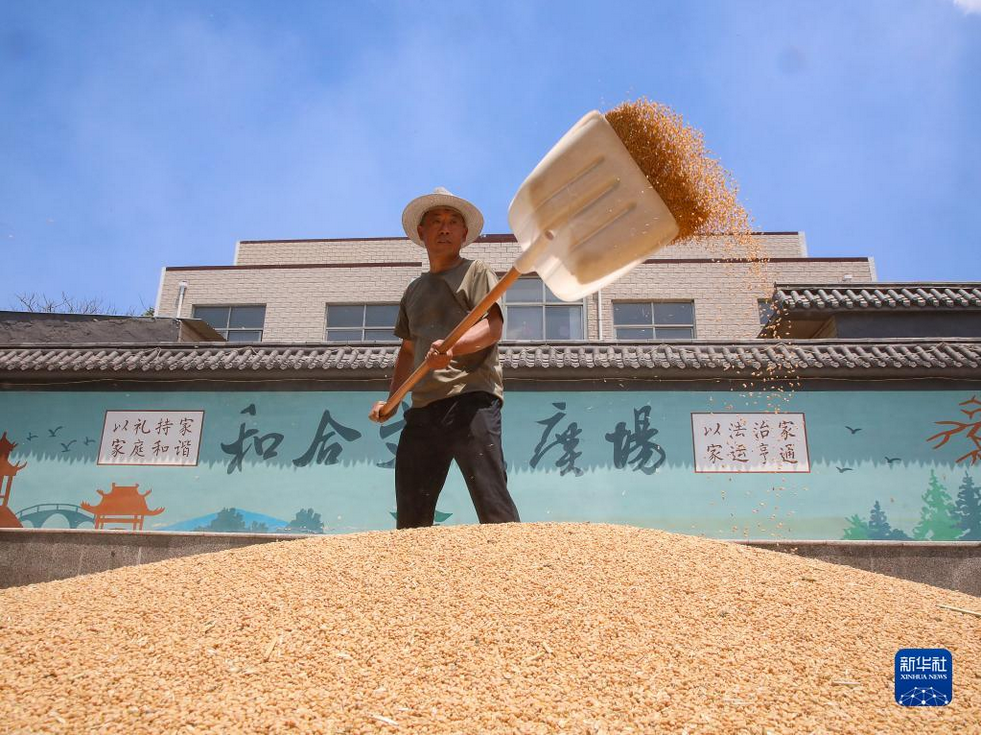 202306/14/0747468_49.png 图片.png