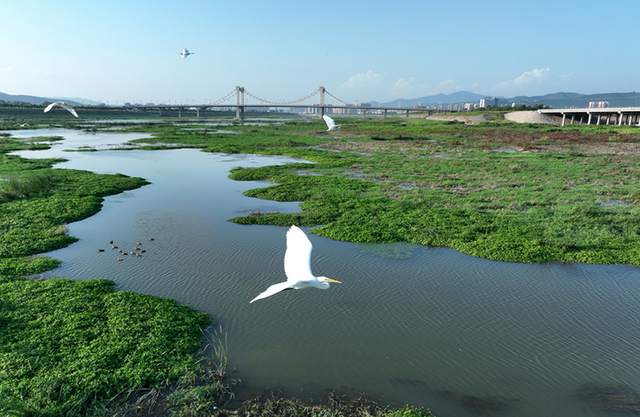 202308/24/0100571_51.png 图片.png