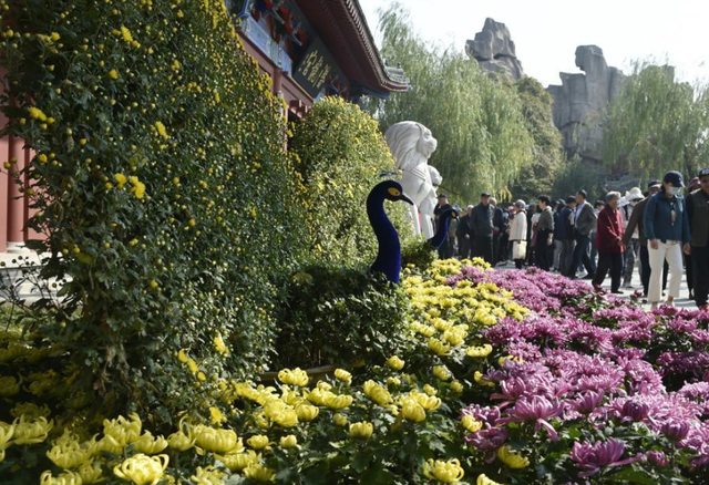 202310/30/0236166_51.png 图片.png