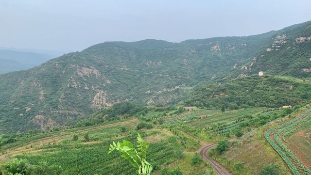 134647b11e4uhm7wuquzlv.jpg.thumb.jpg