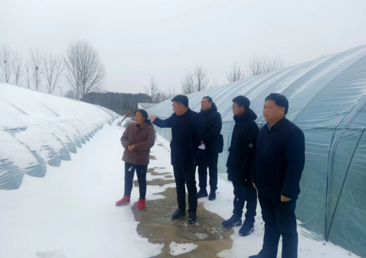 微信图片_20240226103143.png