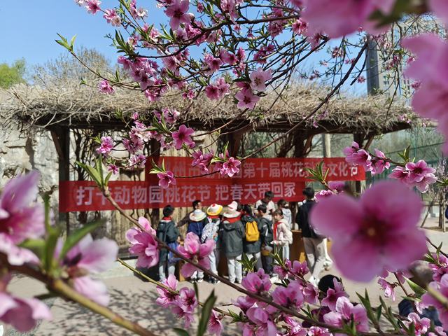 微信图片_20240321153507.jpg