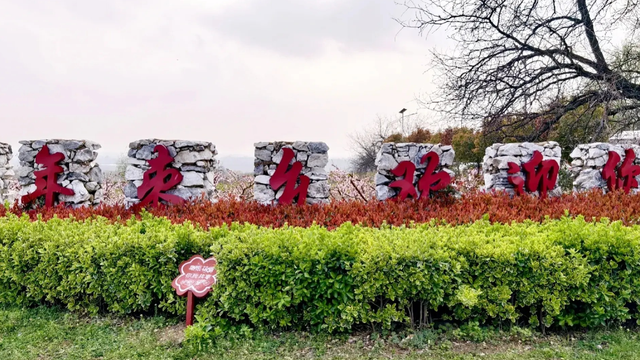 1a0ac86758c5470eb37607318c860c60_noop_副本.jpg