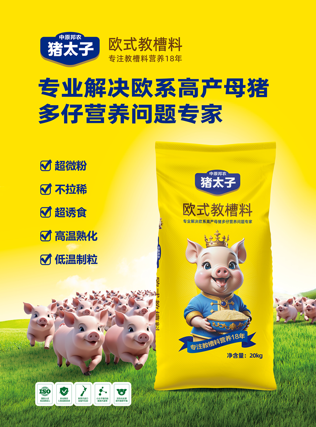 图片8.png