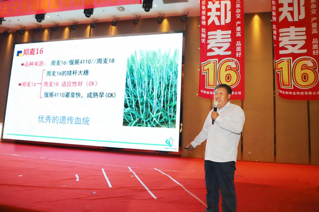 图片10.png