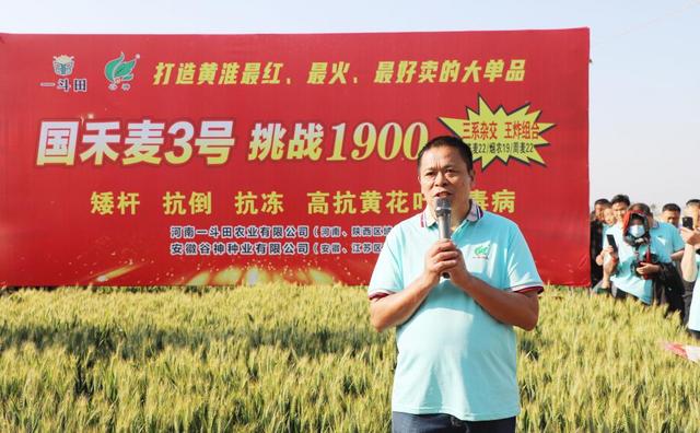 图片12.png
