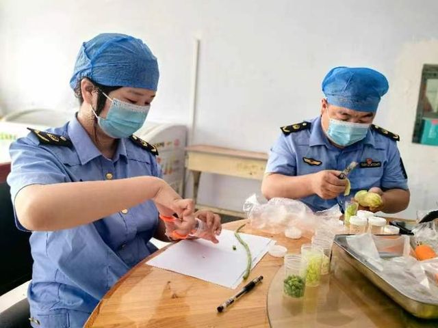 202406/25/0750115_21.jpg 142152jmtncmnh6rnsownv.jpg.thumb.jpg