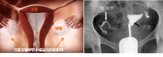 图片9.png