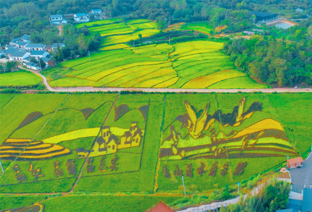 202409/14/0835007_63.png 图片.png