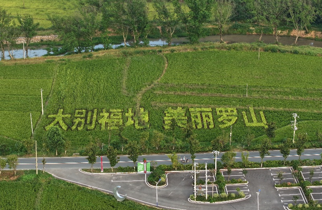 202409/14/0835162_72.png 图片.png