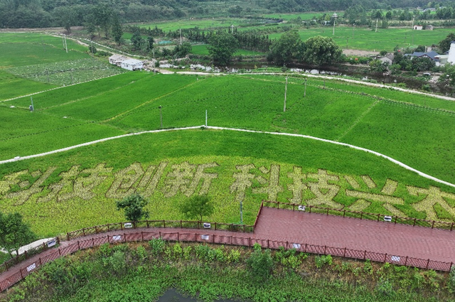 202409/14/0835296_49.png 图片.png