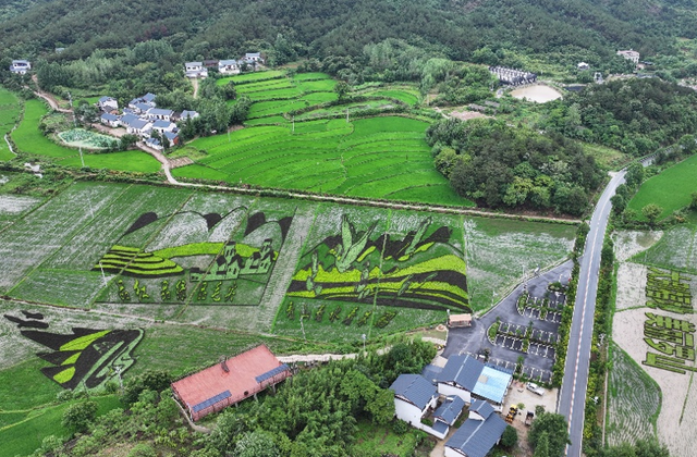 202409/14/0835448_73.png 图片.png