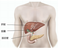 202410/22/0649310_14.png 微信图片_20241022144732.png